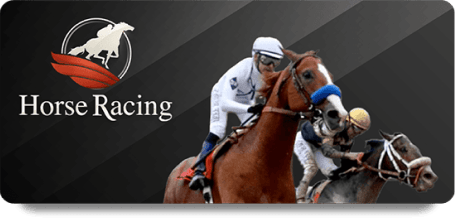 UFAXVIP image of provider evo-horse-racing-big