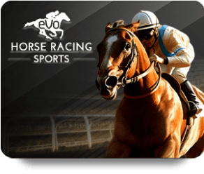 UFAXVIP image of provider evo-horse-racing