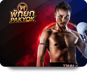 UFAXVIP image of provider pak-yok