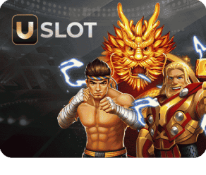 UFAXVIP image of provider uslot